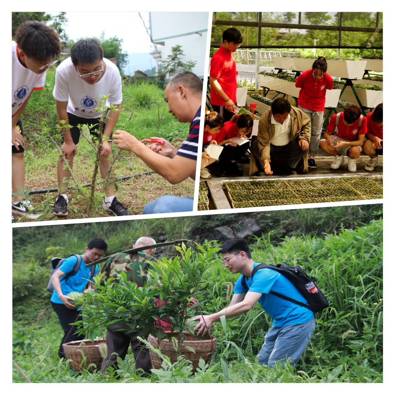 图片15.png 图片15.png