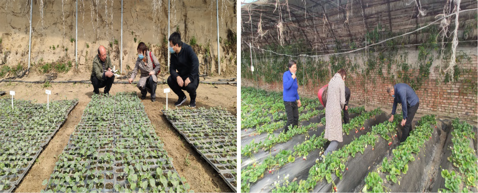 图片3.png 图片3.png