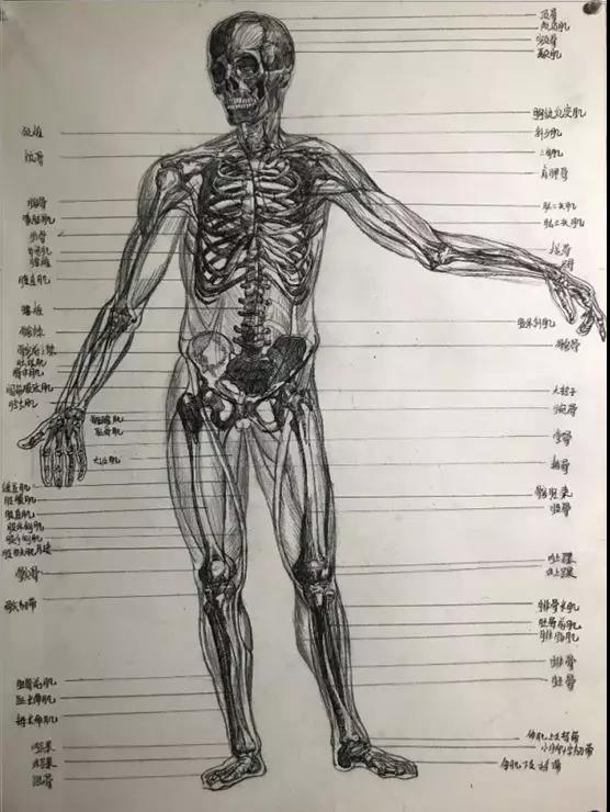 微信图片_20200514104920.jpg