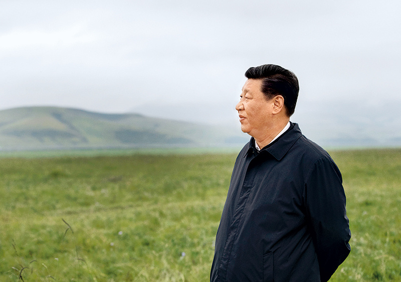 图片39.png 图片39.png