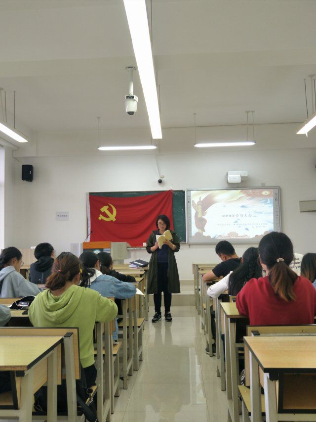 活动照片