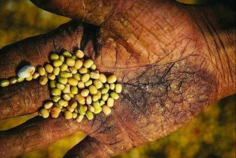 微信图片_20200923181255.jpg 微信图片_20200923181255.jpg