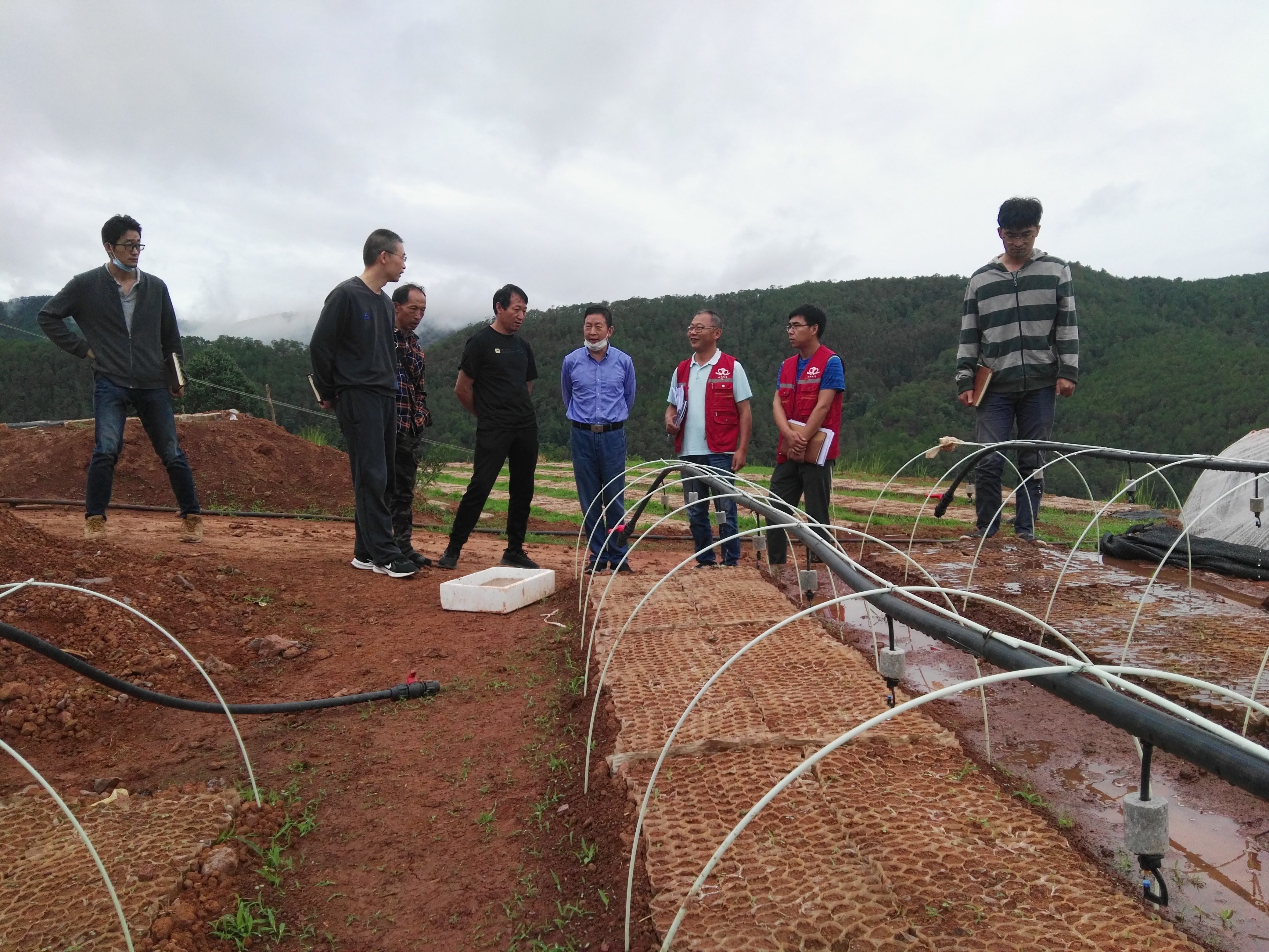 IMG_20200709_095911.jpg IMG_20200709_095911.jpg