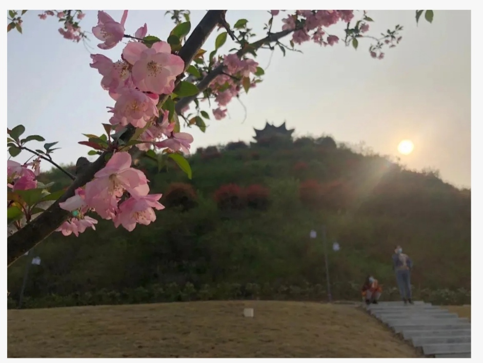 IMG_20200930_213229.jpg IMG_20200930_213229.jpg