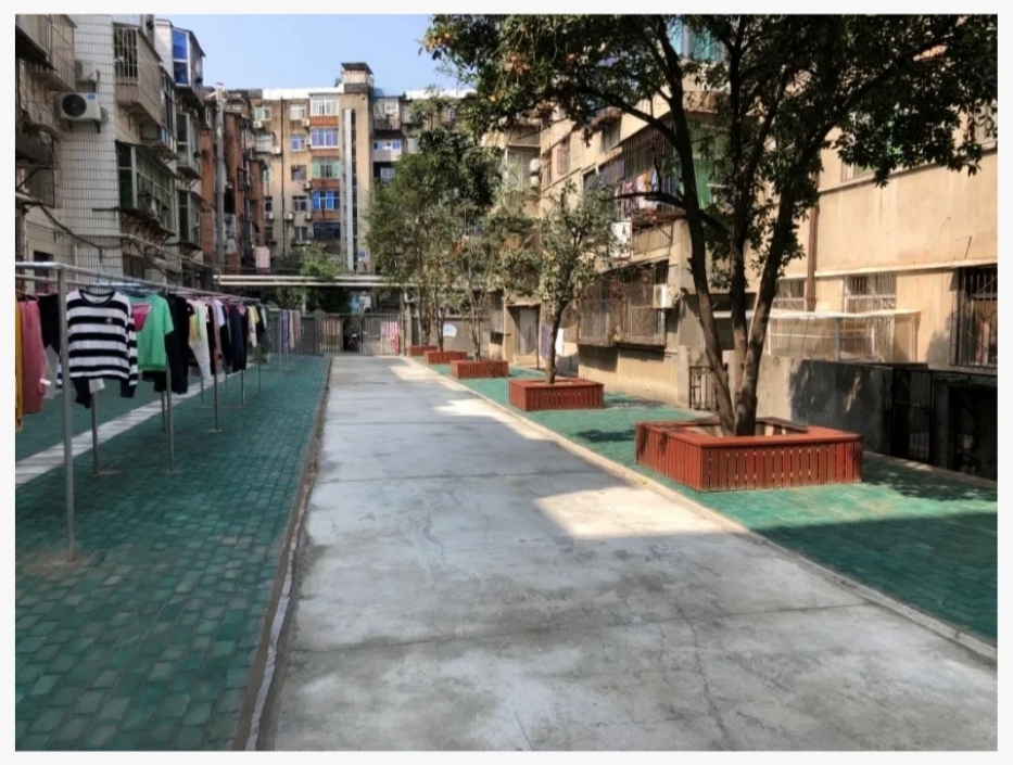 IMG_20200930_213149.jpg IMG_20200930_213149.jpg