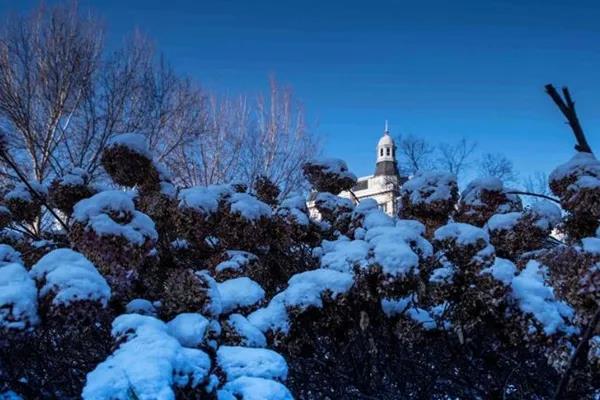 微信图片_20201118120714.jpg 微信图片_20201118120714.jpg