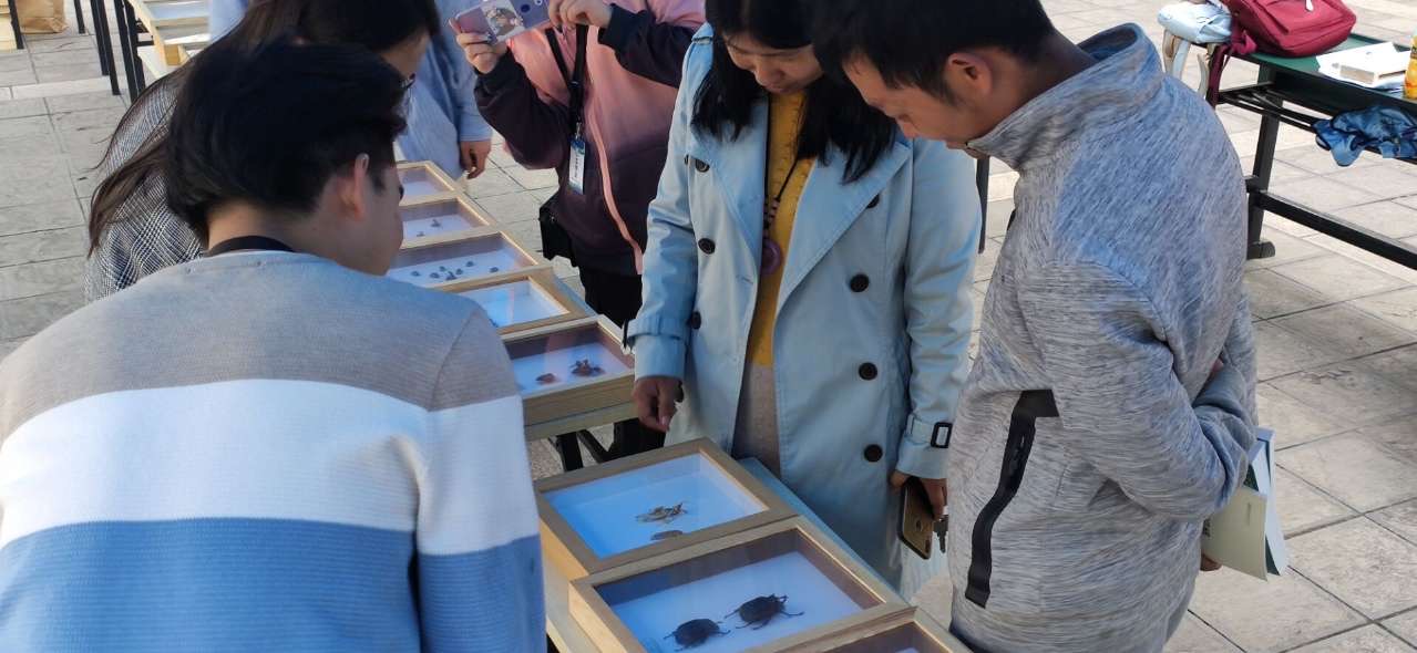 学院教师指导活动.png 学院教师指导活动.png