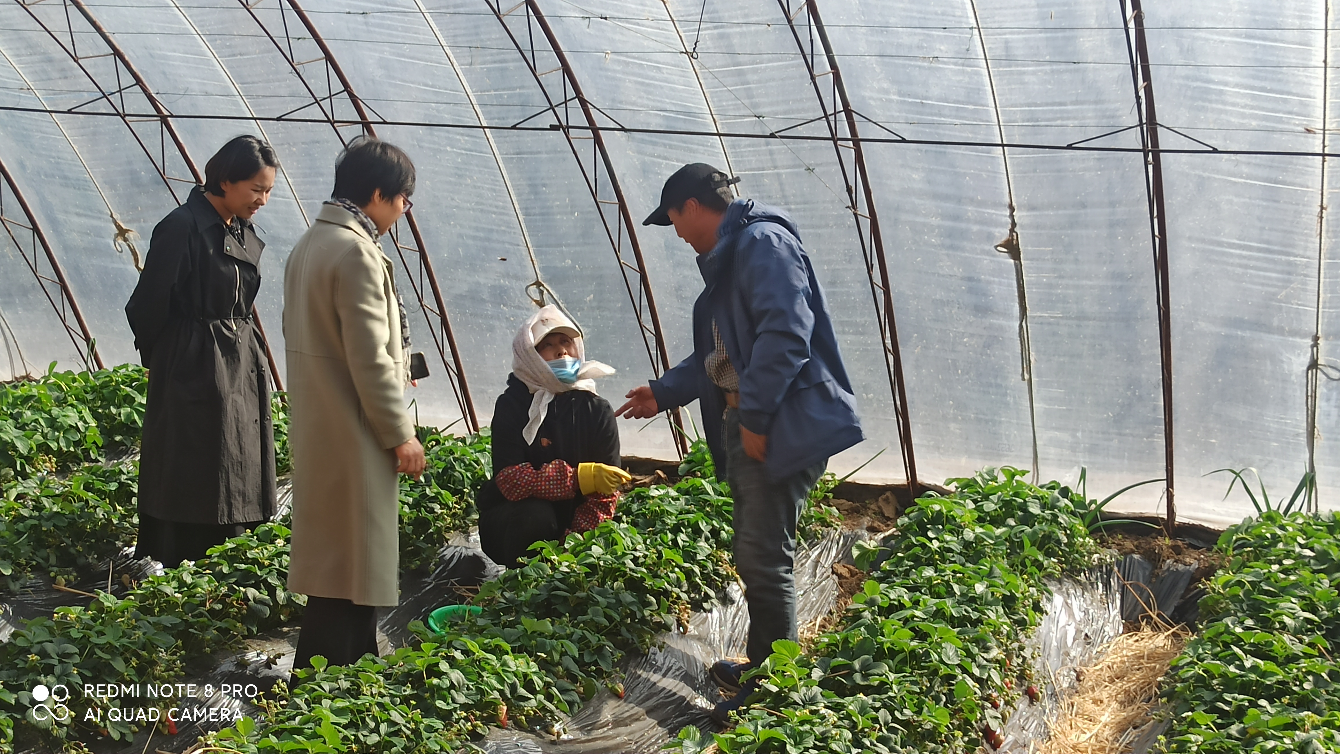 QQ图片20210316213757.jpg QQ图片20210316213757.jpg