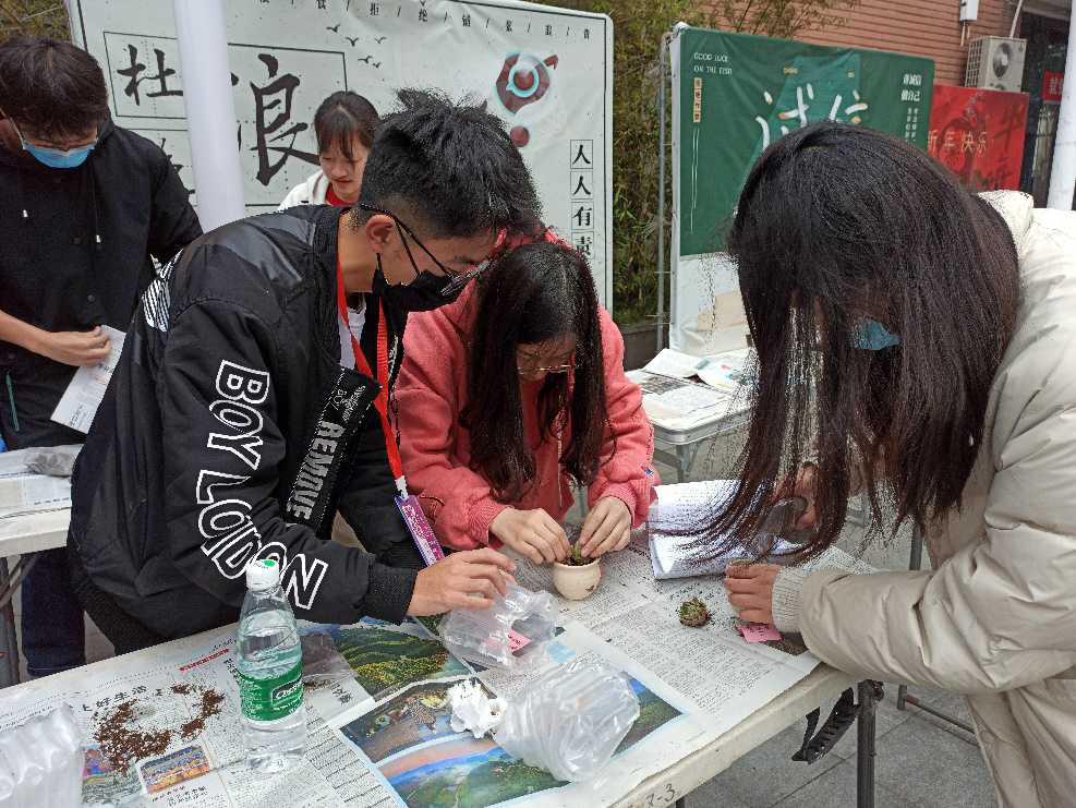 图4:同学们亲手移植多肉.png 图4:同学们亲手移植多肉.png