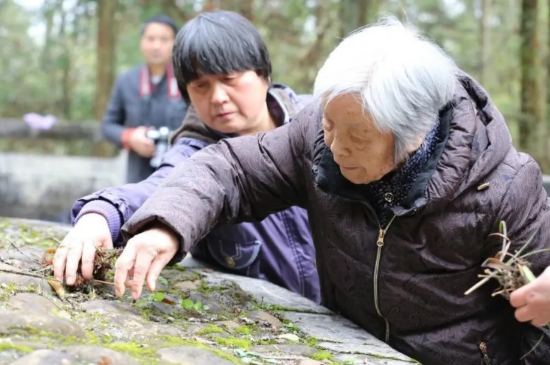 微信截图_20210320211319.png 微信截图_20210320211319.png