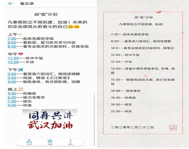 支部党员个人的假期战“疫”计划.png