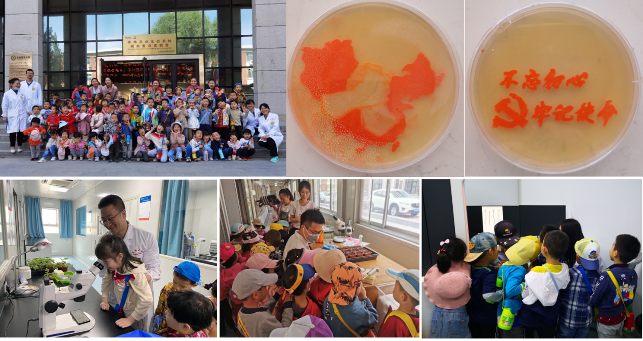 06-04_221819-59.png 06-04_221819-59.png