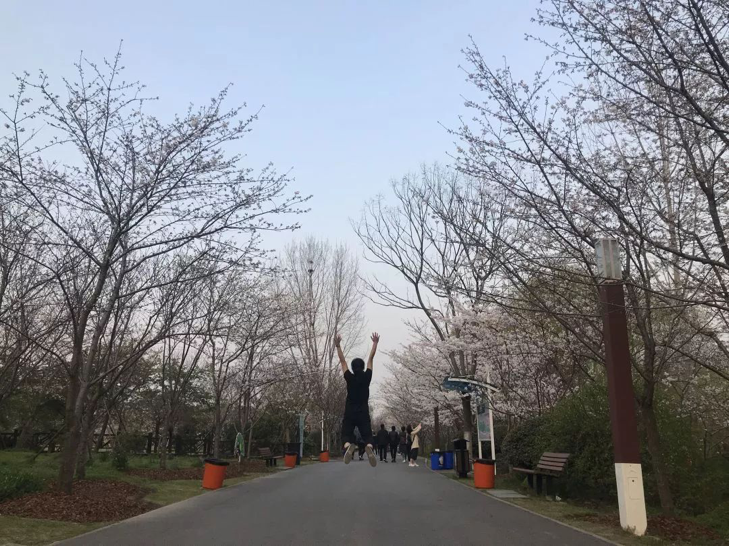 图片18.png
