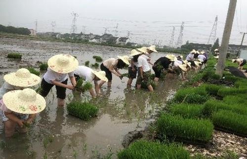 20210624_051931_467.jpg 06.jpg