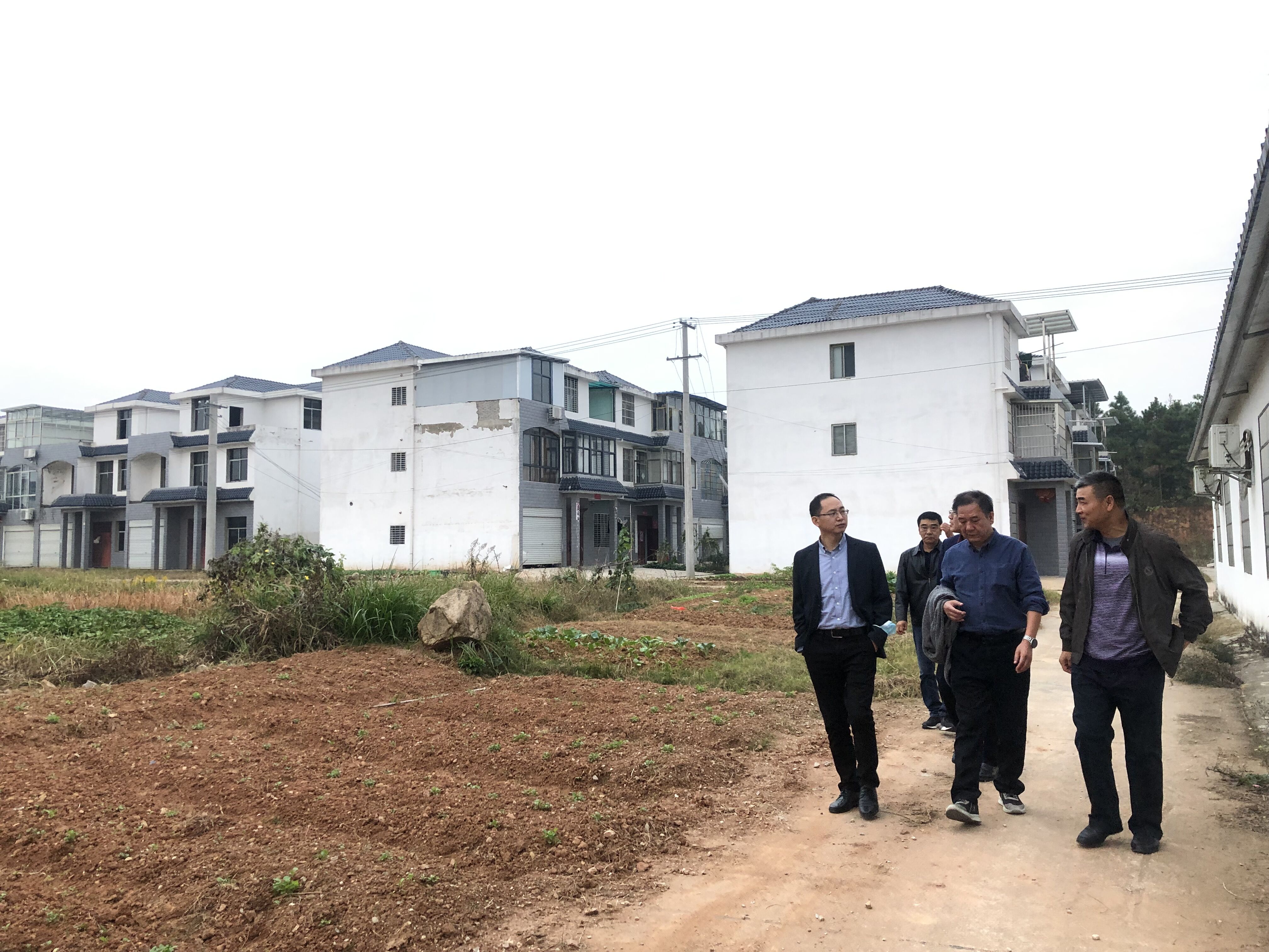 QQ图片20211105141633.jpg QQ图片20211105141633.jpg