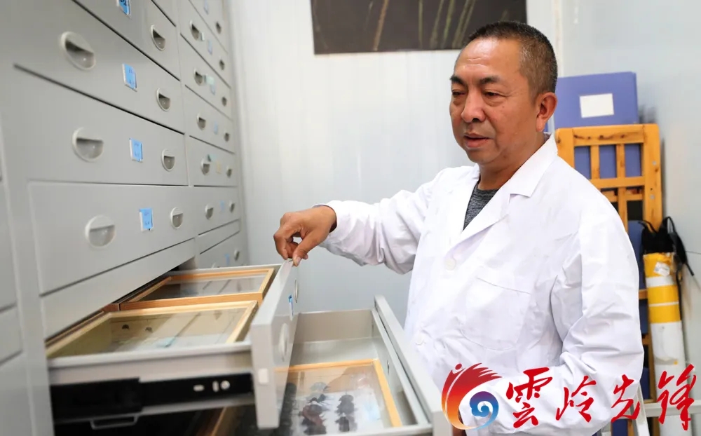 杨自忠介绍蜘蛛类别.webp.jpg 杨自忠介绍蜘蛛类别.webp.jpg