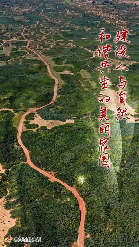 微信图片_20211121151712.jpg 微信图片_20211121151712.jpg