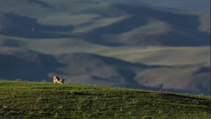 微信图片_20211121151717.jpg 微信图片_20211121151717.jpg