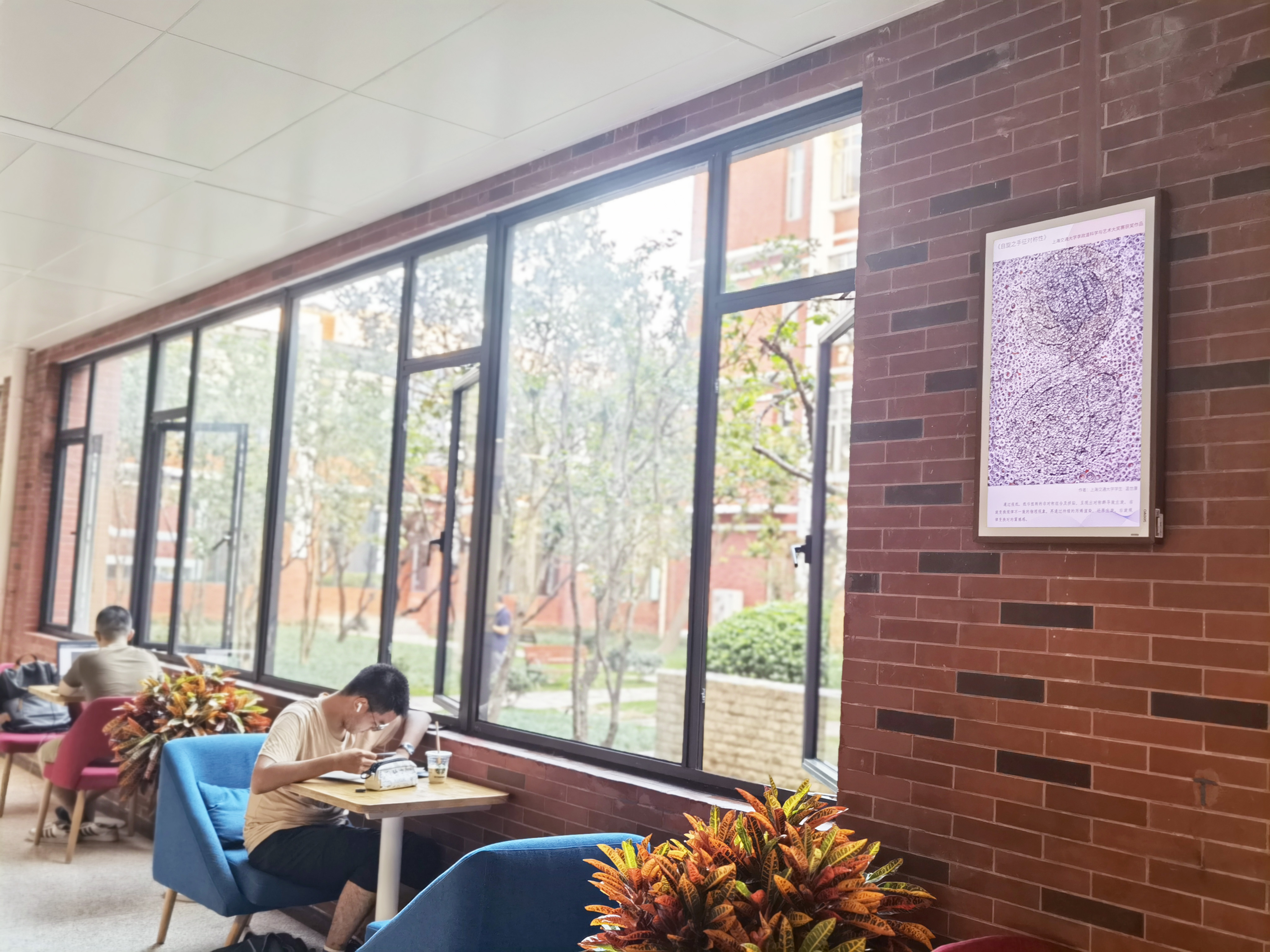 1633682090952053718.jpg 1633682090952053718.jpg