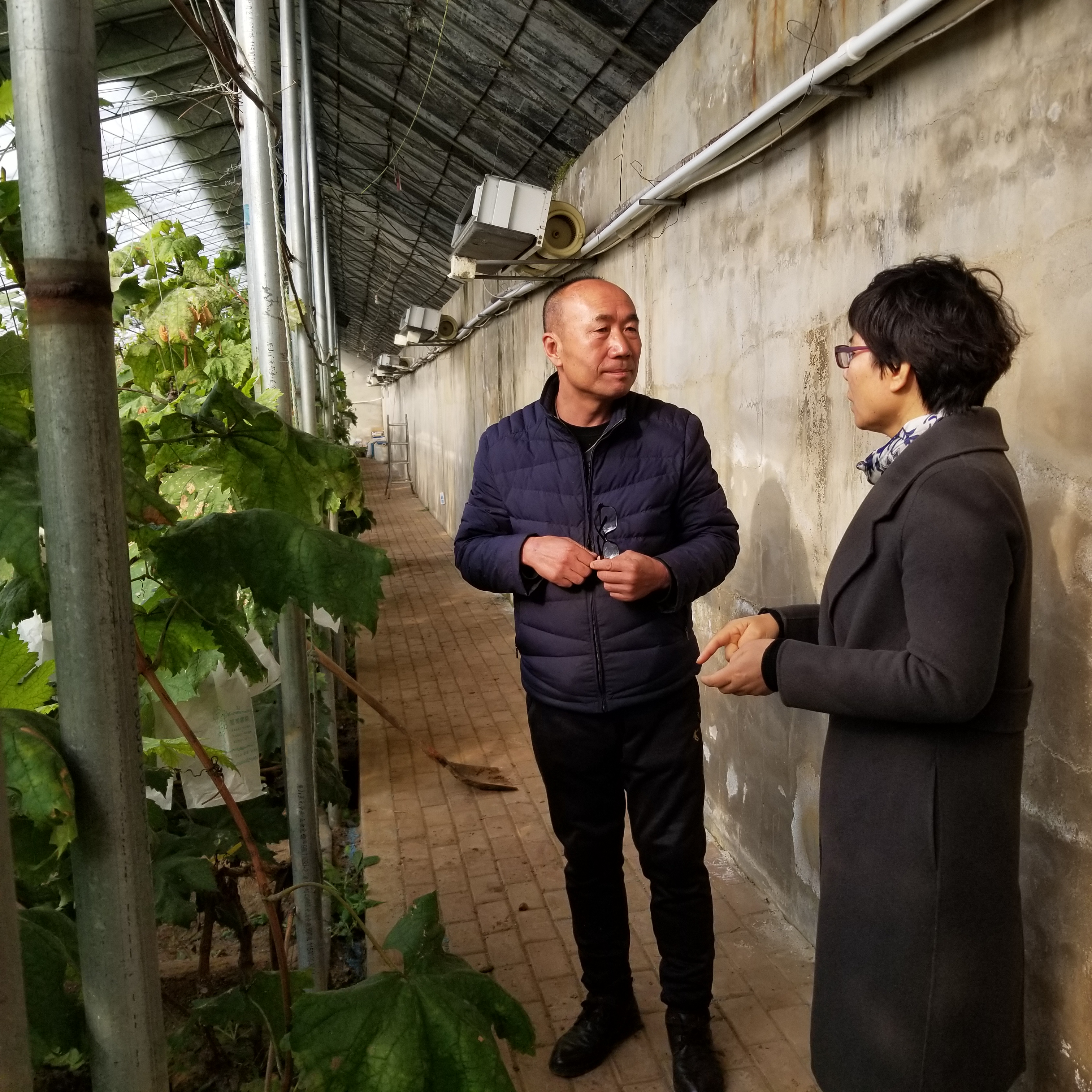 20211128_105808.jpg 20211128_105808.jpg