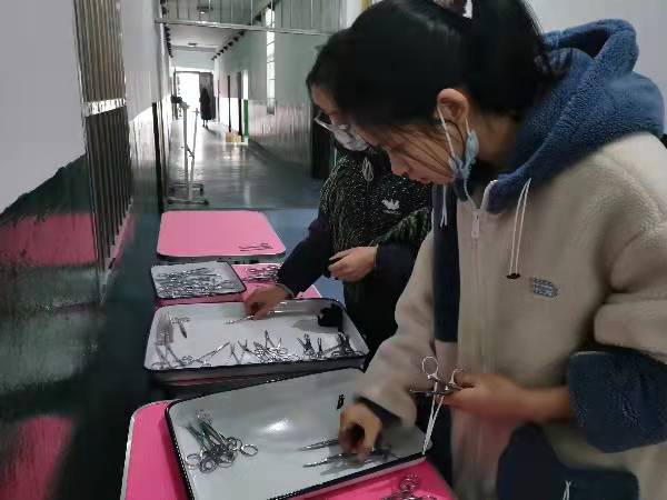 2021121517315786.jpg 2021121517315786.jpg