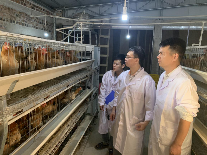 教工二支部党员韦天超同志到广西多个贫困县开展科技扶贫活动2.png