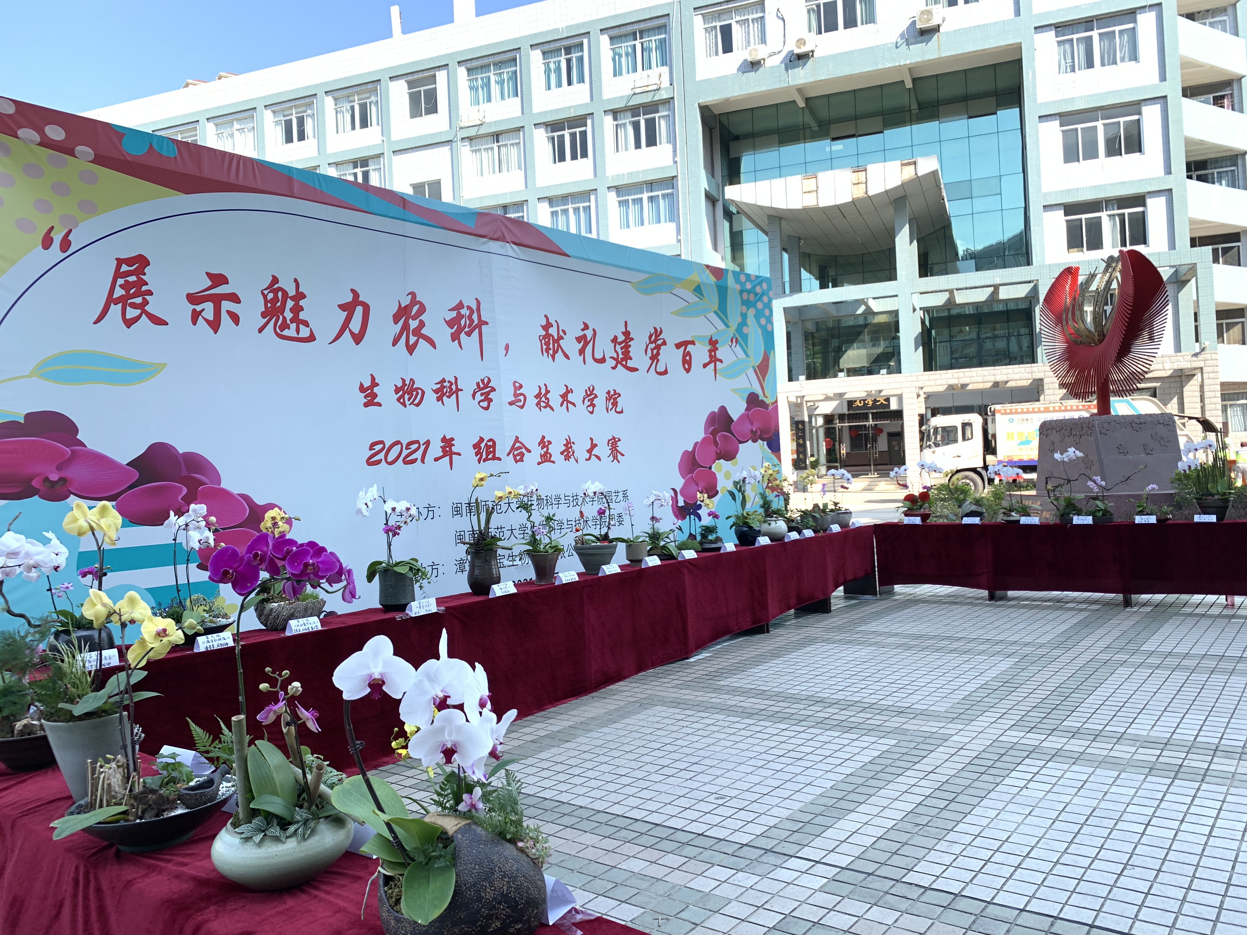 生科院举办“展示魅力农科，献礼建党百年”主题组合盆栽大赛