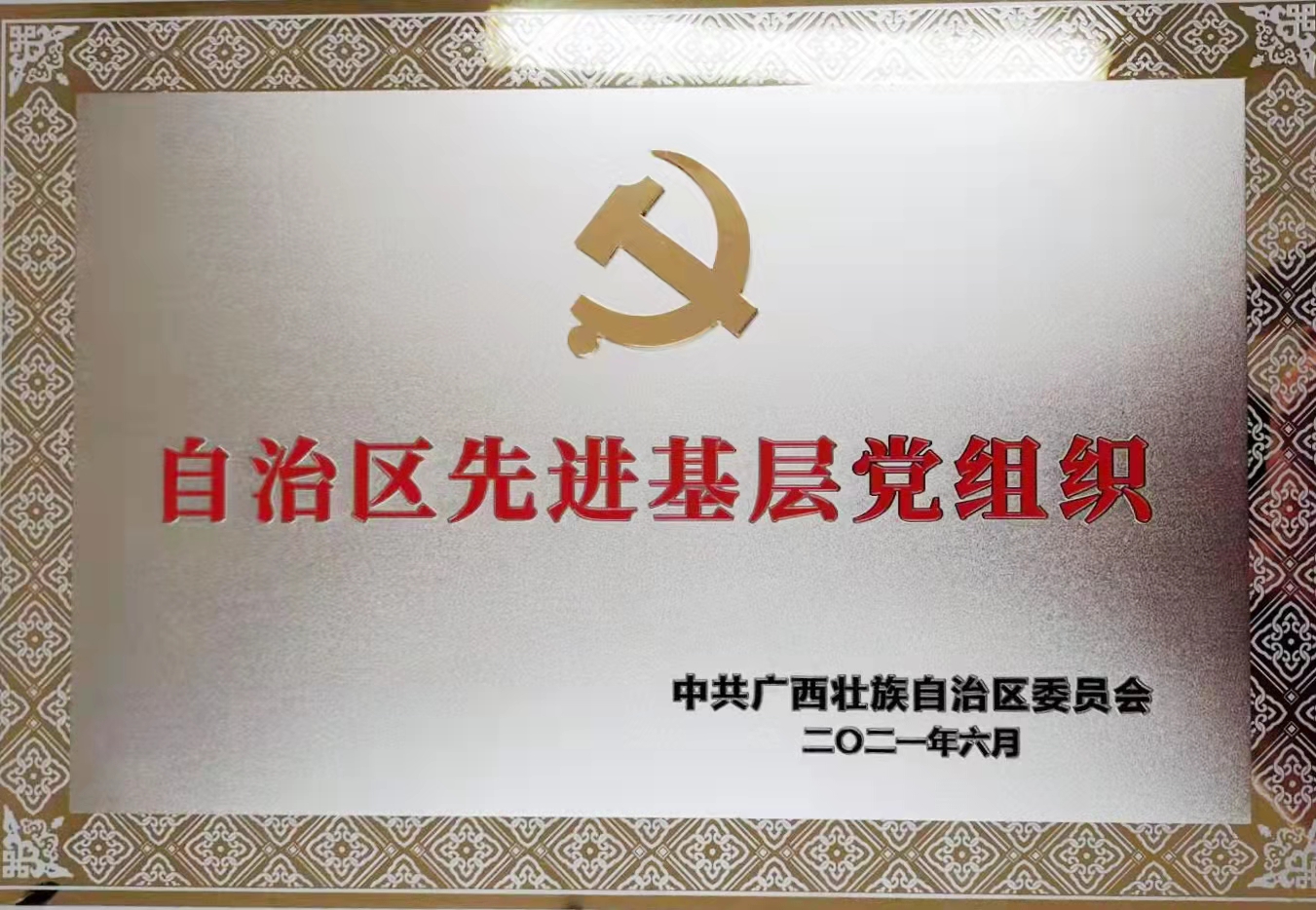 支部被自治区党委授予“自治区先进基层党组织”称号