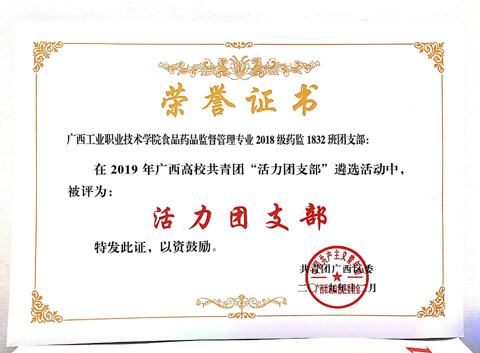 1.获2019年广西高校“活力团支部”荣誉证书_wps图片