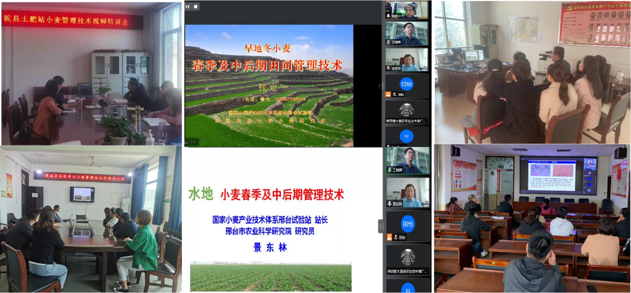 线下观看.png