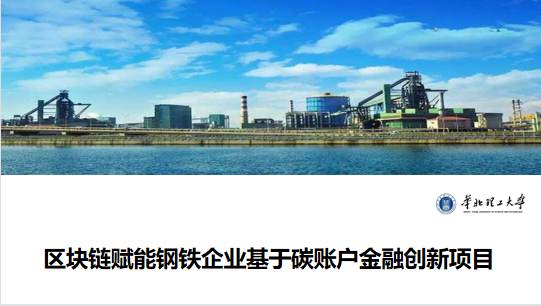 图四：林永民老师进行项目进展汇报.png