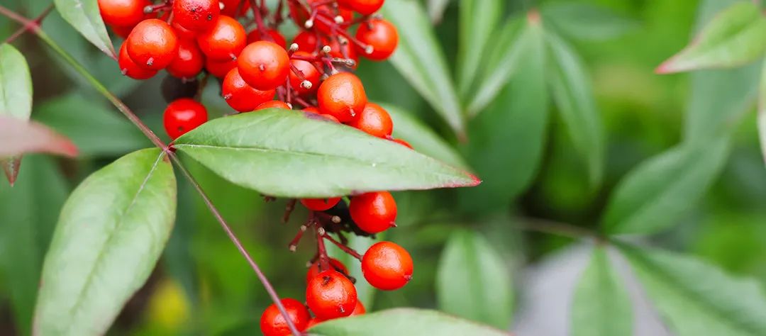 微信图片_20230317140457.jpg 微信图片_20230317140457.jpg