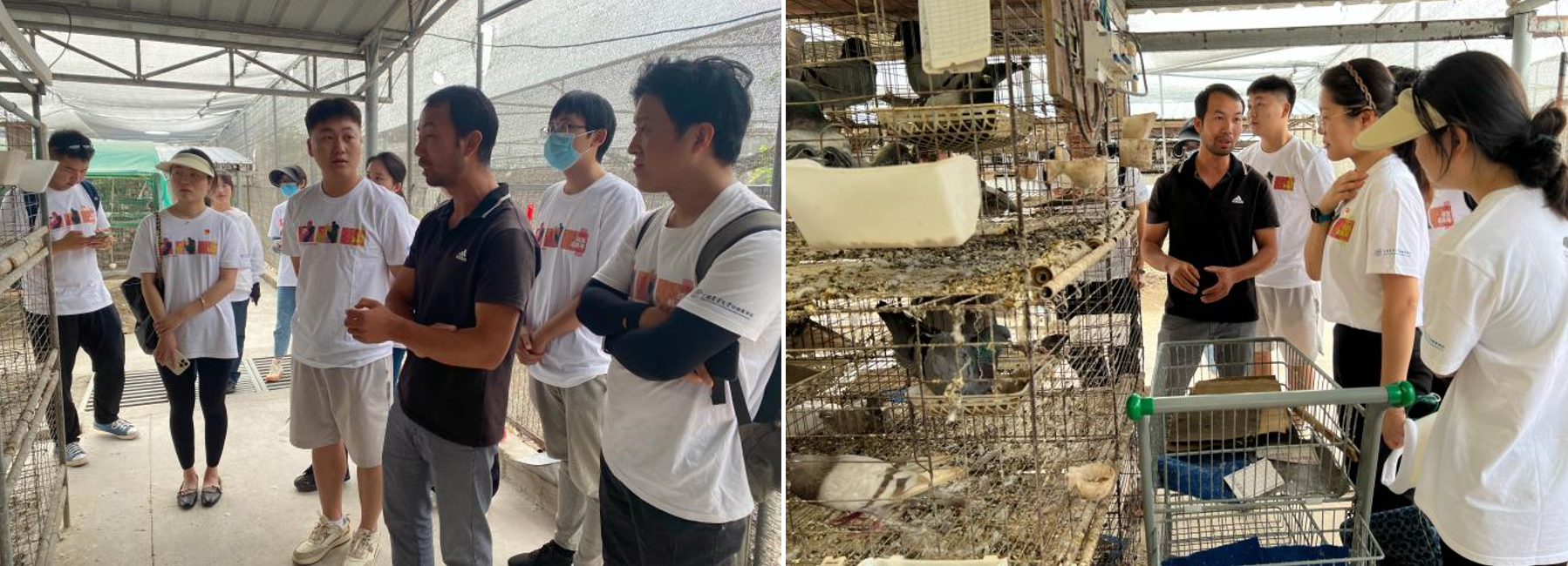 ef7049ee2fb64ce0a4d4af10d26bea52.png ef7049ee2fb64ce0a4d4af10d26bea52.png