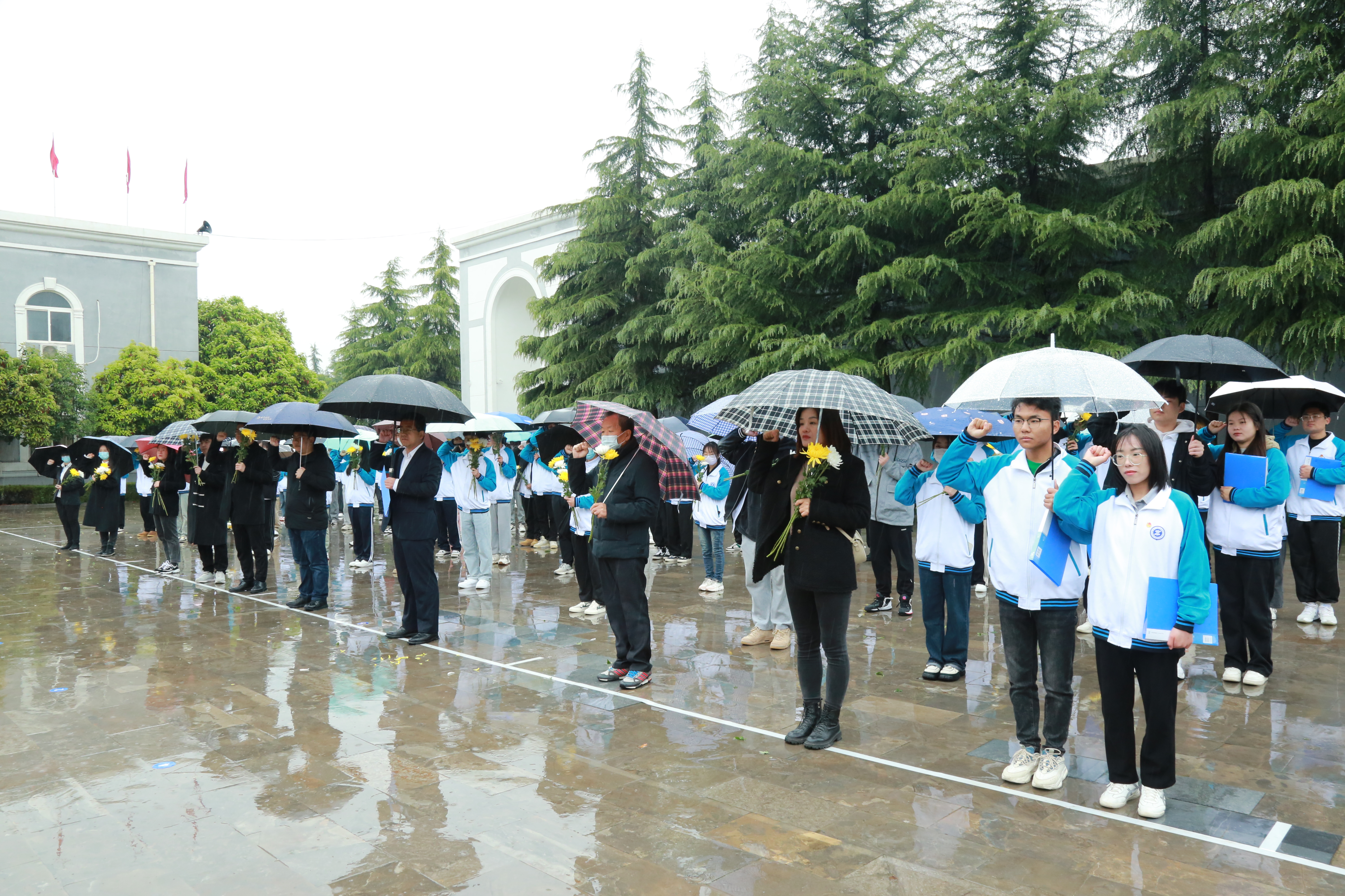 IMG_9861.JPG IMG_9861.JPG