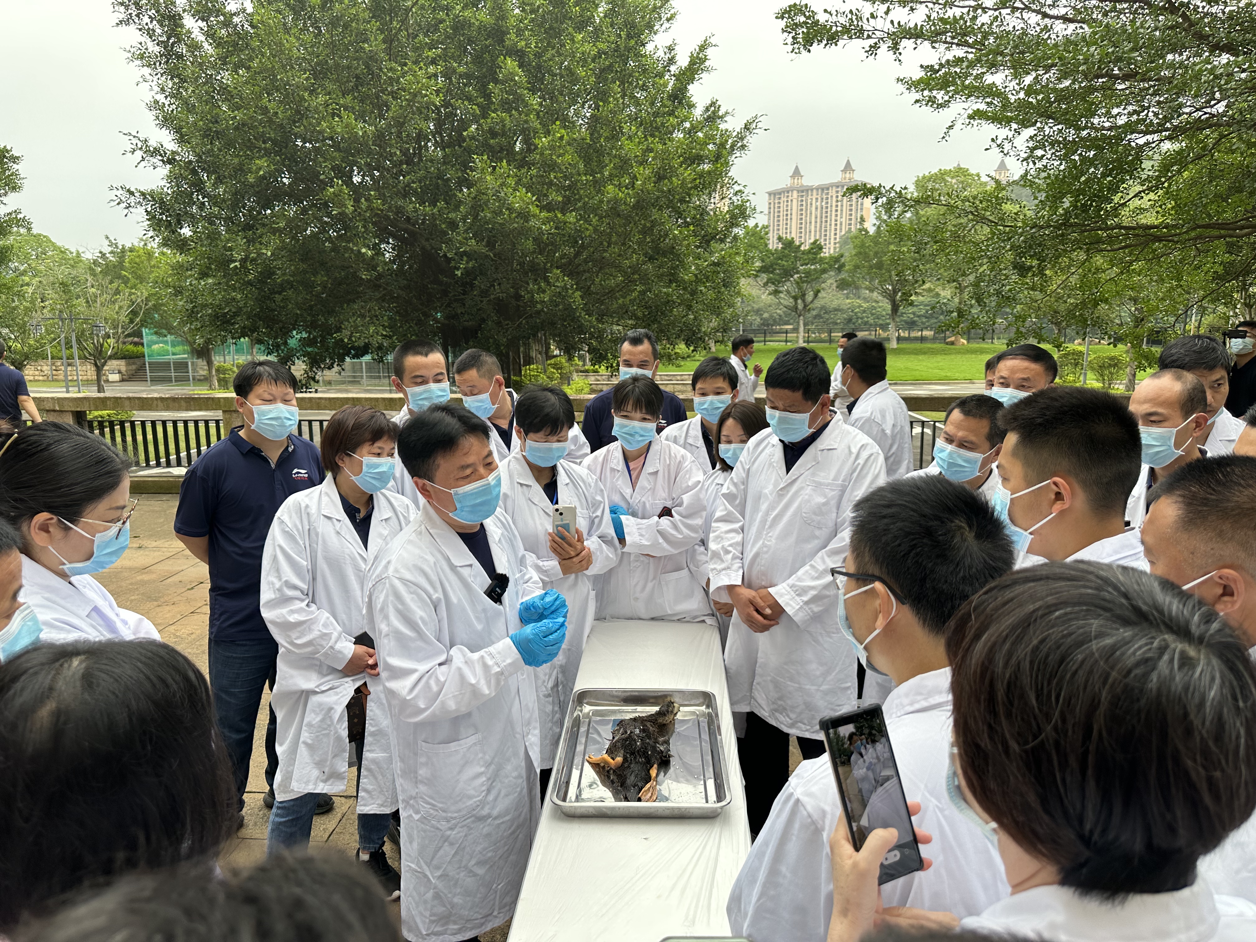 微信图片_202304241723064.jpg 微信图片_202304241723064.jpg