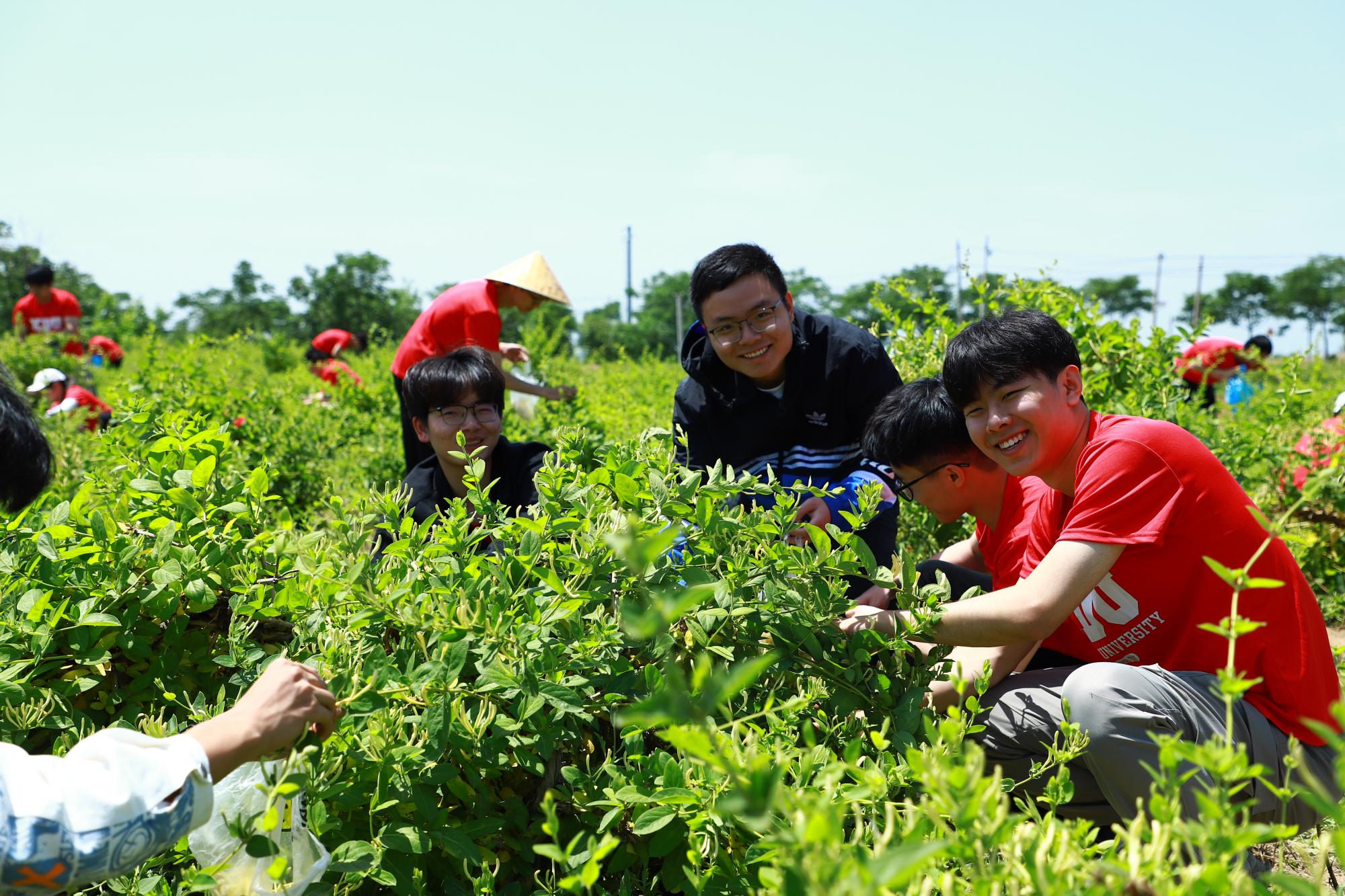 IMG_3606.JPG IMG_3606.JPG