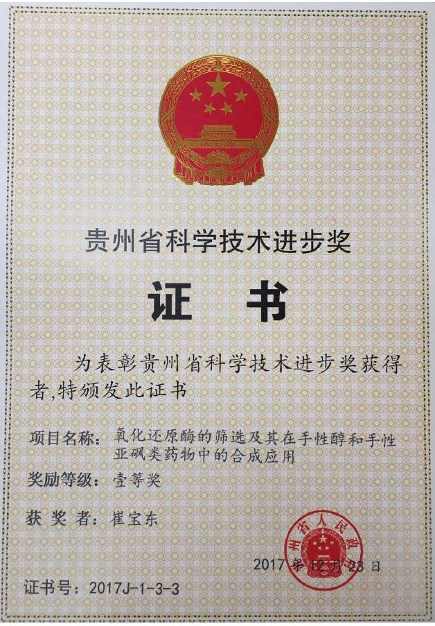 崔宝东-科技进步奖