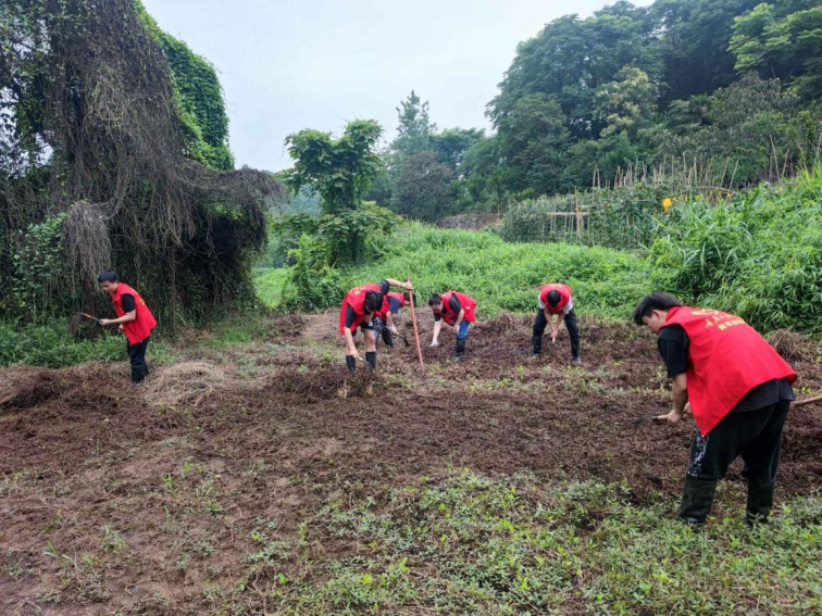 20230609224638991002.png 20230609224638991002.png