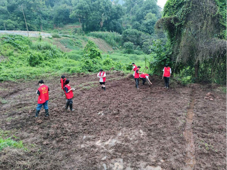 20230609224639994003.png 20230609224639994003.png