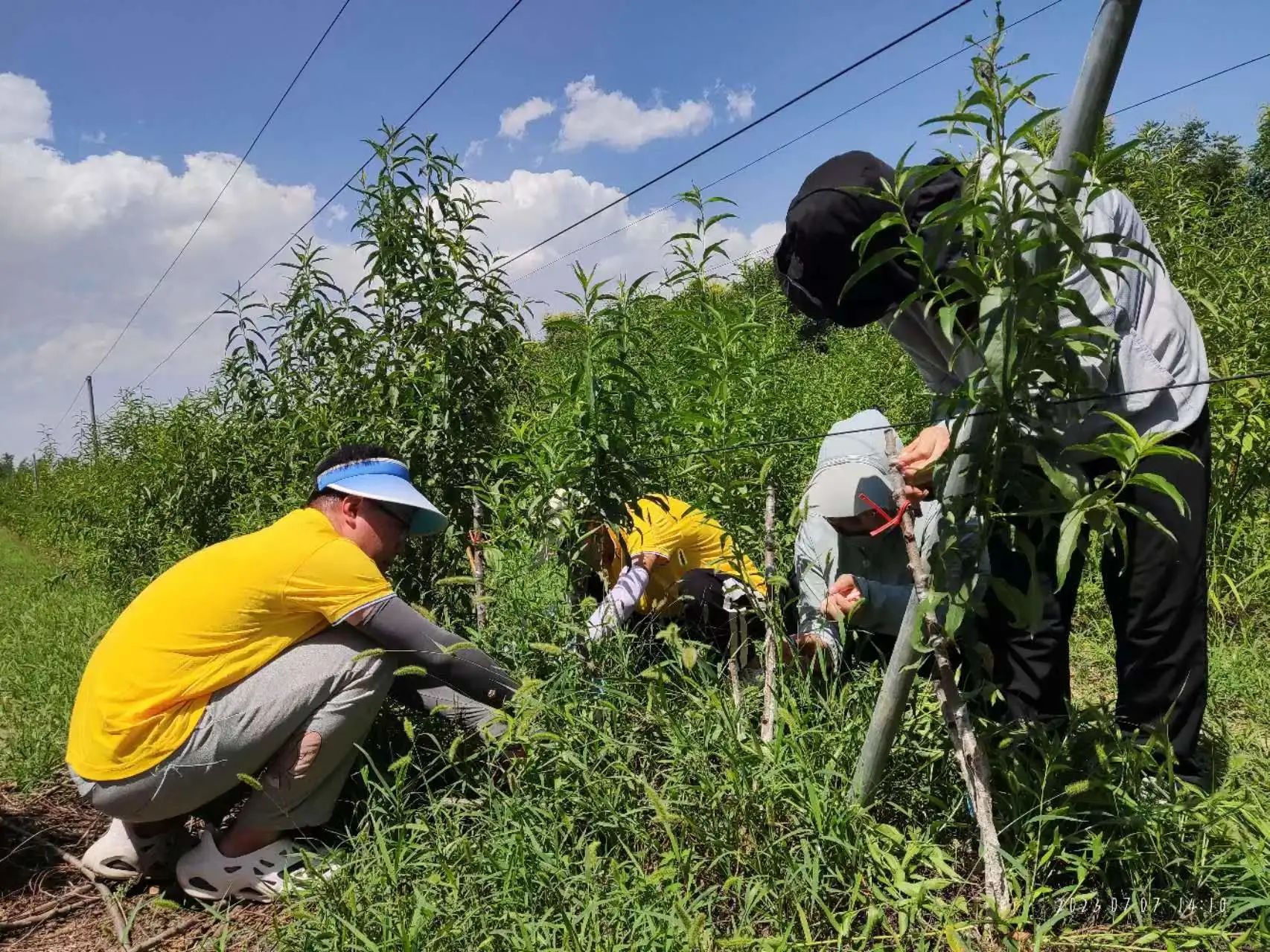 微信图片_20230722231751.jpg 微信图片_20230722231751.jpg