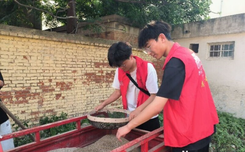 8.19-3.png 8.19-3.png