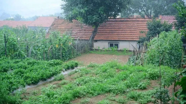 42b07103c5e57128e5971ee84c32d1c.png 42b07103c5e57128e5971ee84c32d1c.png