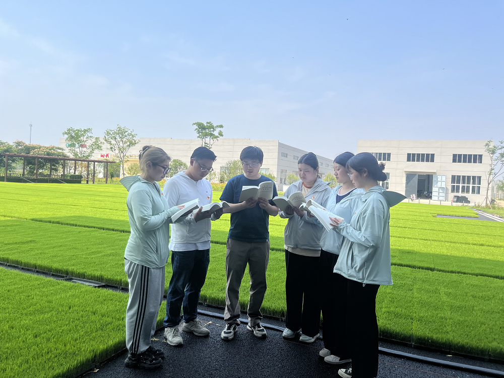 图片3.png 图片3.png