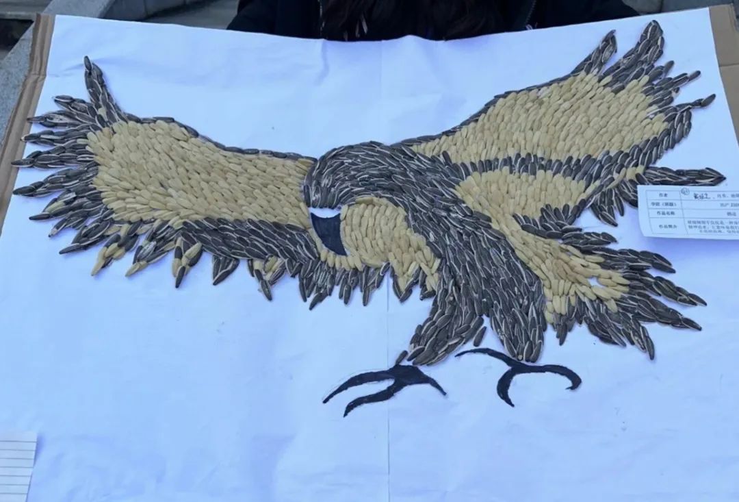 微信图片_20231121083653.jpg 微信图片_20231121083653.jpg