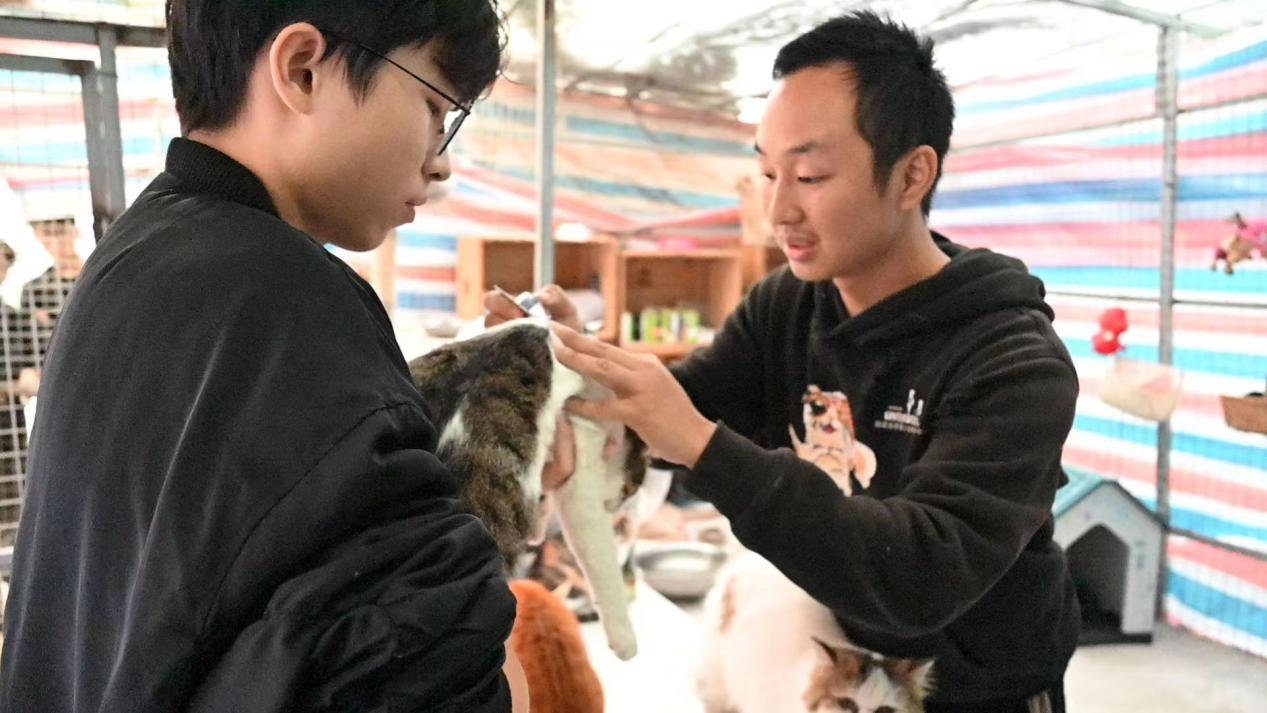 图片9.jpg