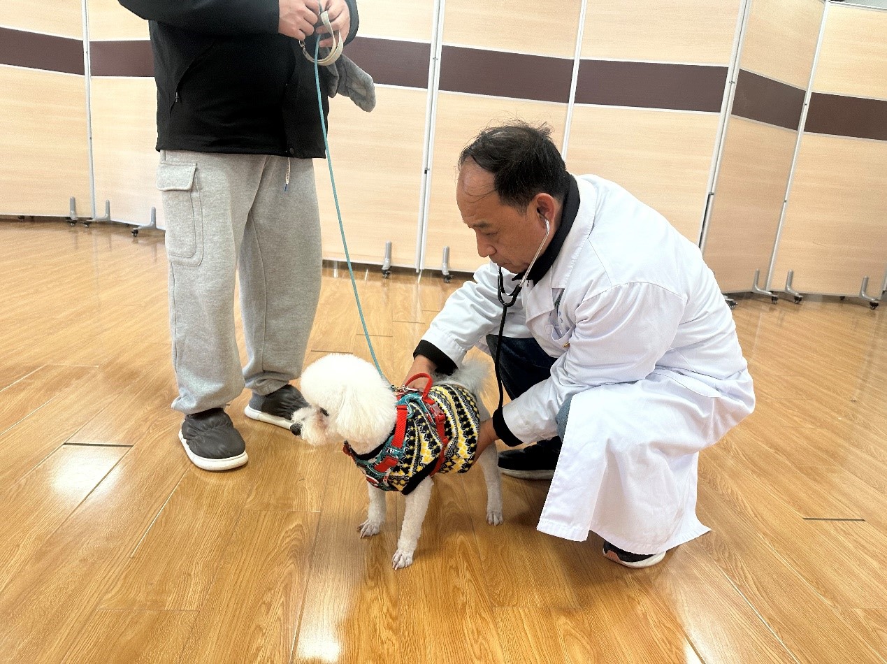 202311290002.jpg 202311290002.jpg