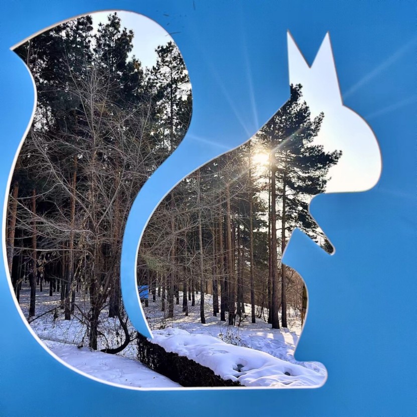 2946af64639d80c8443922e22ff6a96.png 2946af64639d80c8443922e22ff6a96.png