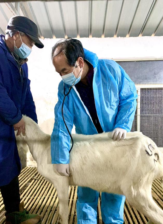 图片3.png 图片3.png