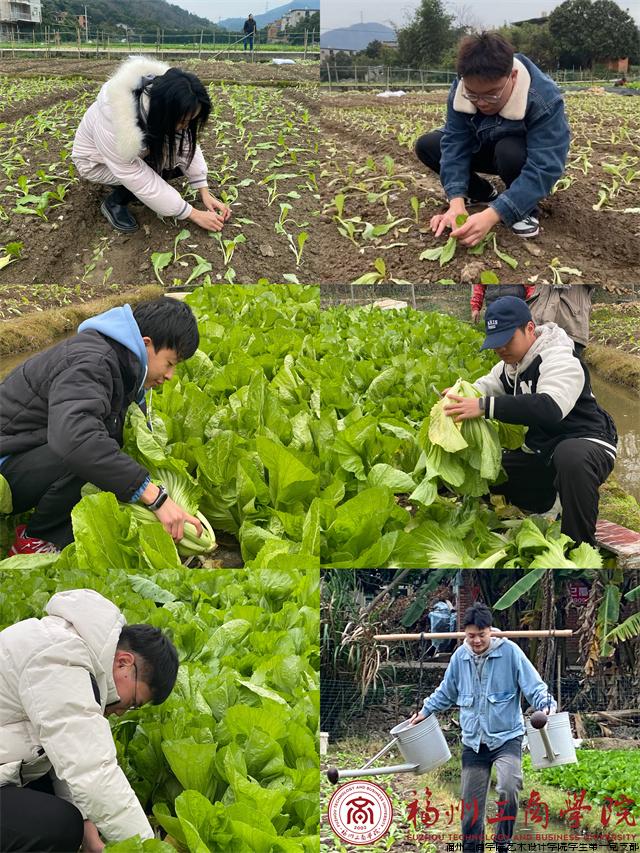 20240128022342396.jpg 20240128022342396.jpg