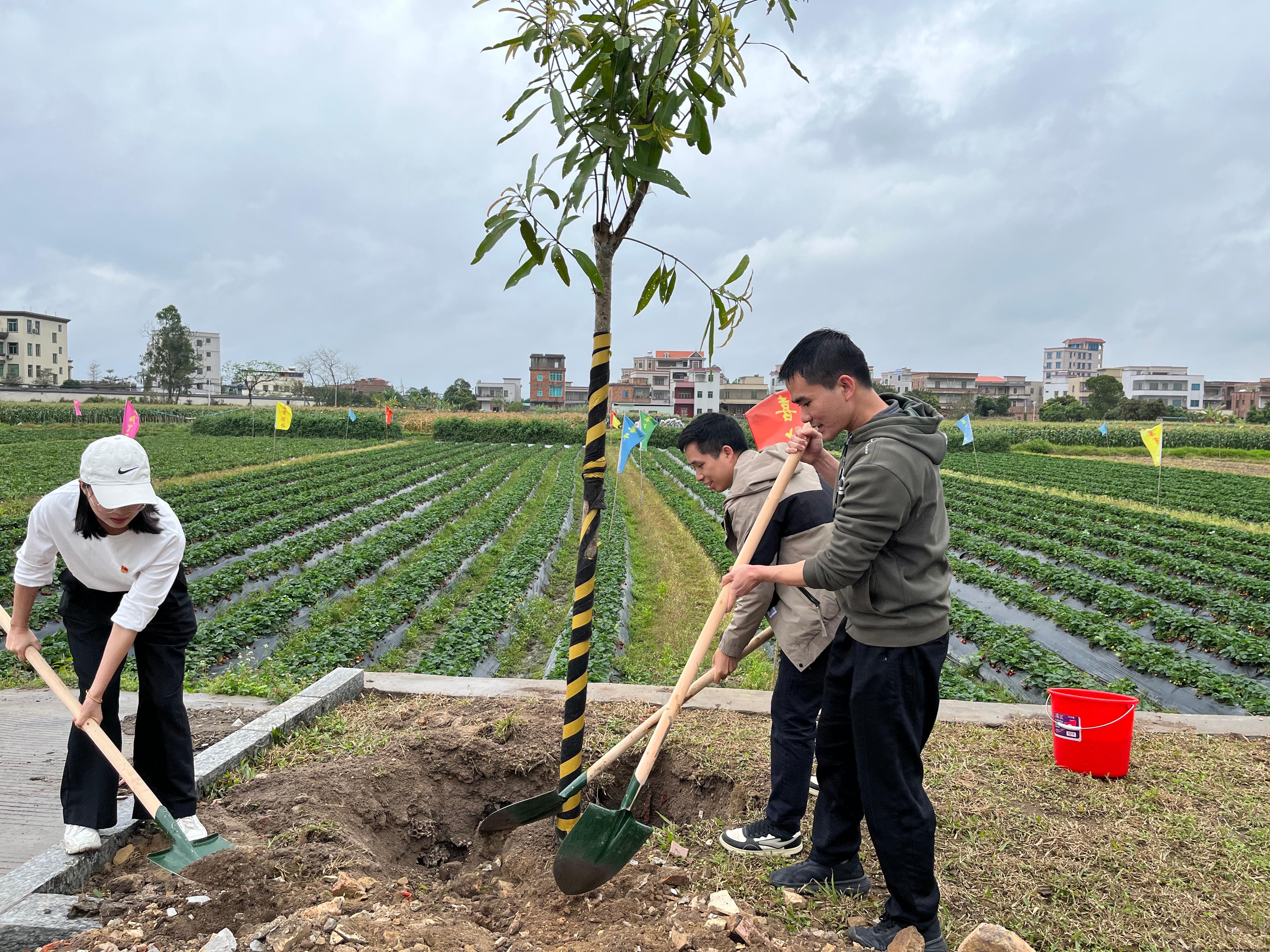 植树2.jpg